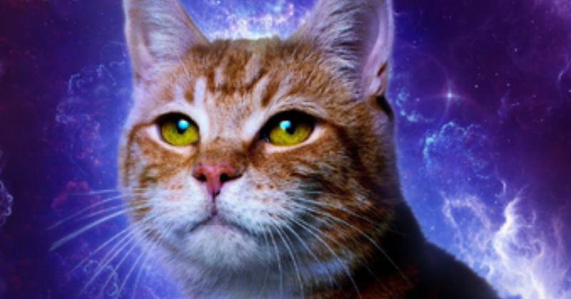 marvelcinematicuniverse.fandom.com